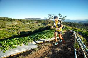 BIB: 
                            <button type="button" onclick="openModal(19110505)" class="btn btn-primary btn-sm float-right btn-popup" data-toggle="modal" data-target=".modal-high-quality">
                        <i class="fas fa-shopping-cart"></i> Add to Cart
                    </button>
                                            <button type="button" onclick="isThisMe(19110505, true)" class="btn btn-success btn-sm float-right btn-popup btn-isme hidden" data-toggle="tooltip" data-placement="bottom" title="นี่คือรูปของคุณใช่ไหม คลิกที่นี่เพื่อเอาเข้าอัลบั้ม">
                        <i class="fas fa-plus"></i> Add to album
                    </button>
                    <button type="button" onclick="isThisMe(19110505, false)" class="btn btn-warning btn-sm float-right btn-popup btn-isnotme hidden">
                        <i class="fas fa-ban"></i> Remove from album
                    </button>